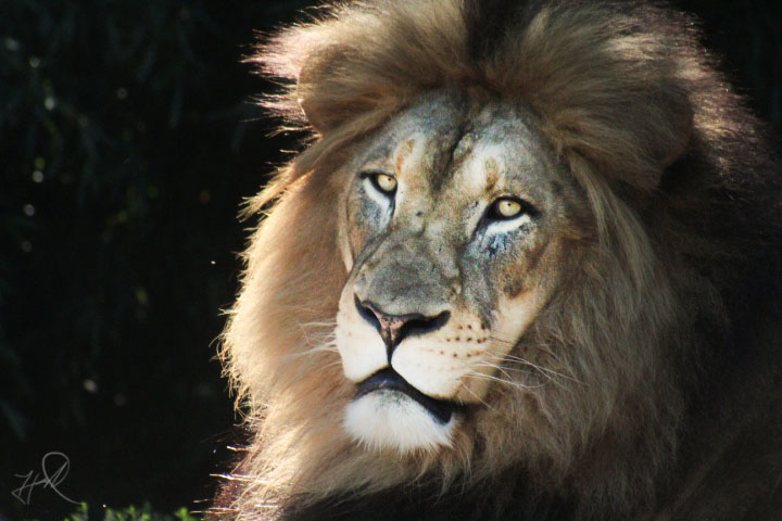 Jul. 2017 - Africa - John