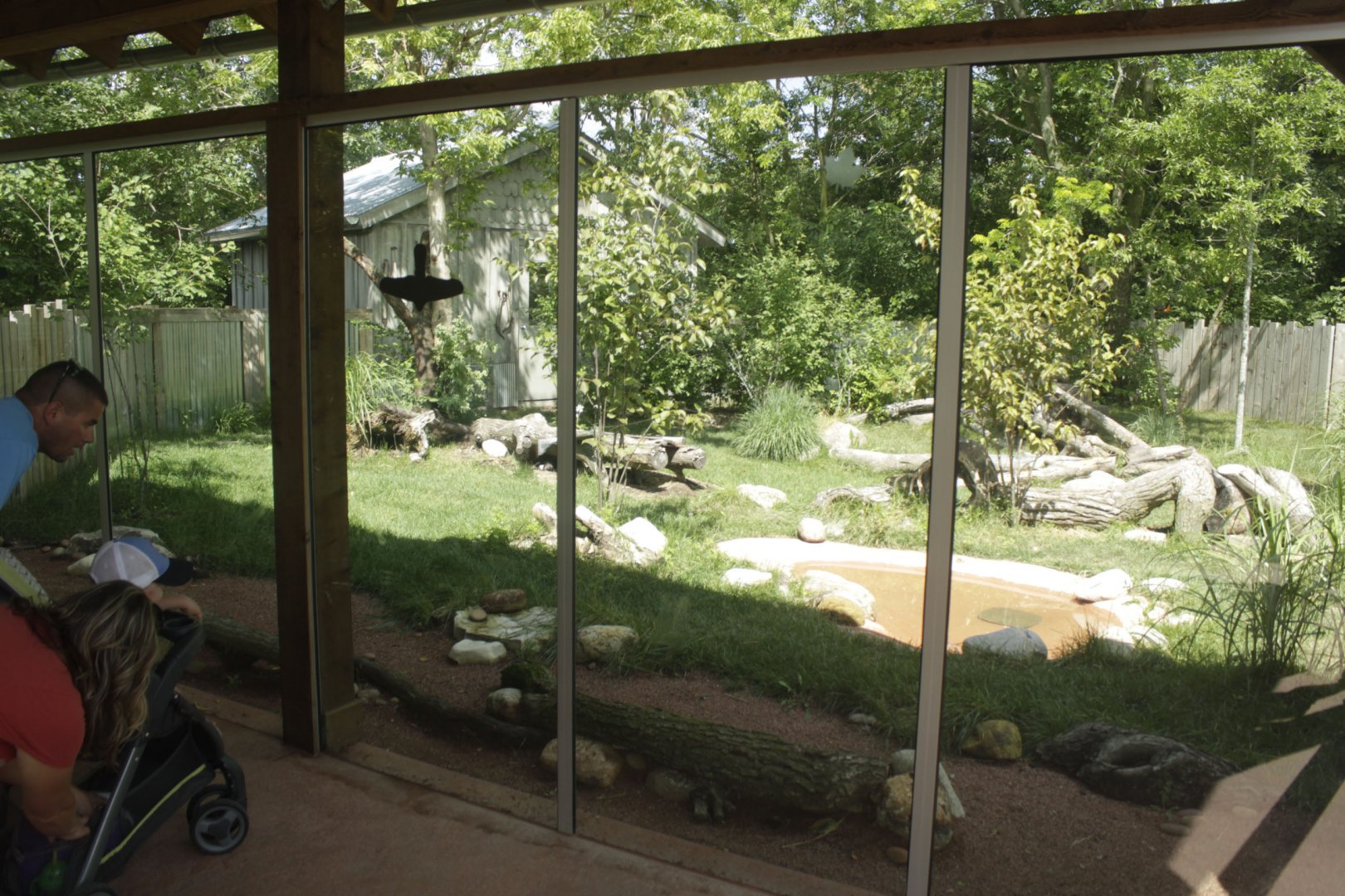 Jul. 2017 - Australian Adventure - Tazmanian Devil Exhibit