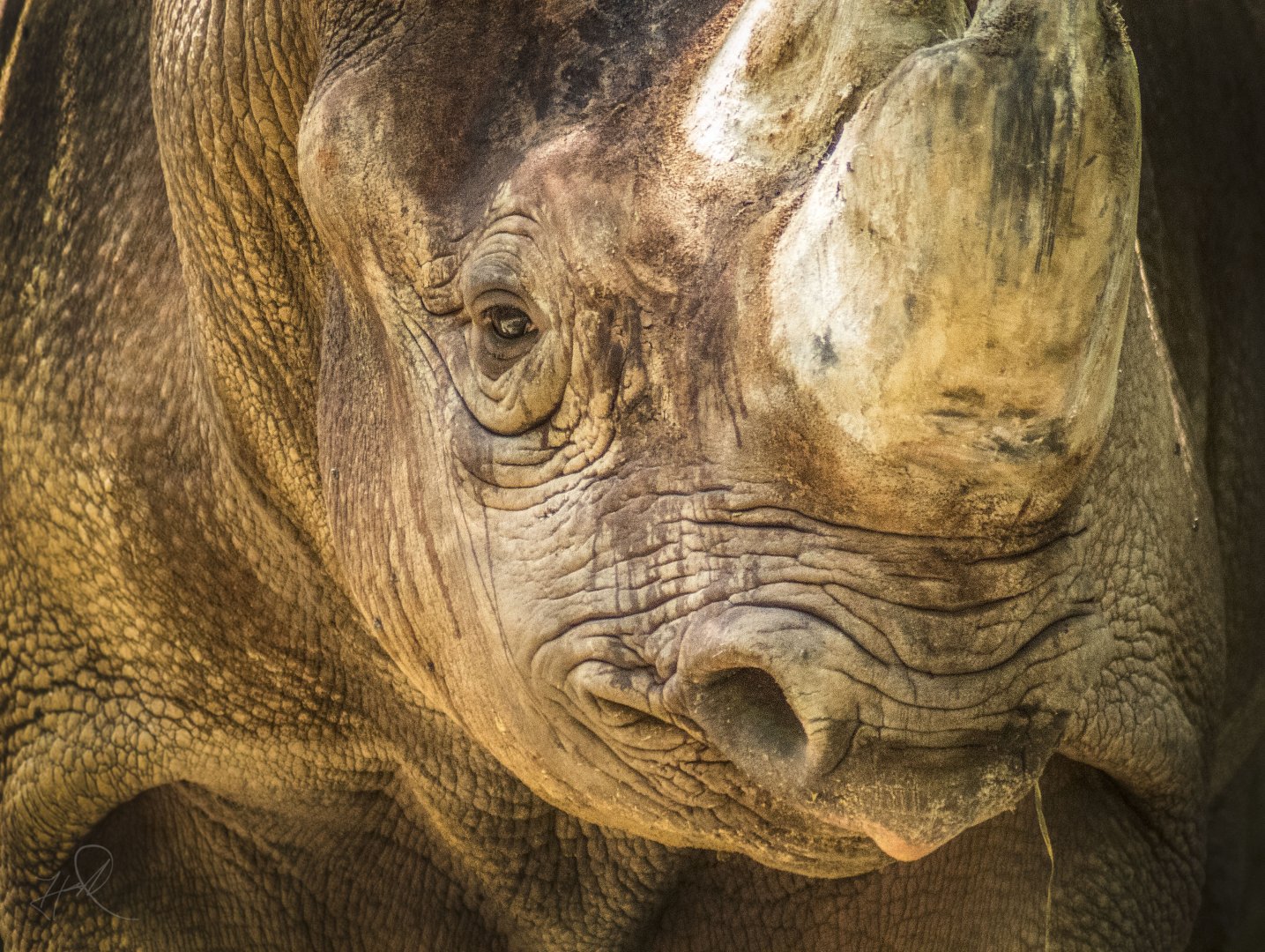 Jul. 2017 - Rhino Reserve - Kifaru