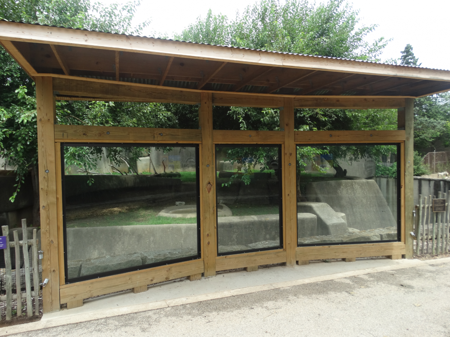 Jul. 2018 - Africa - New Glass Viewing (Lion Exhibit)