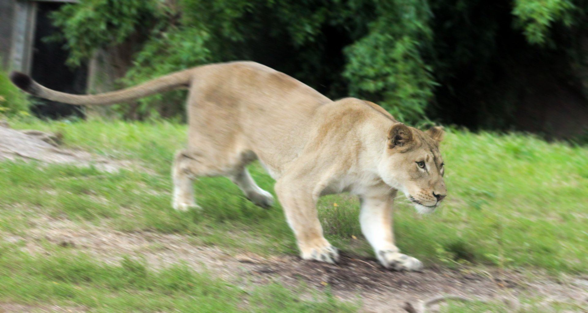 Jul. 2018 - Africa - On the Run