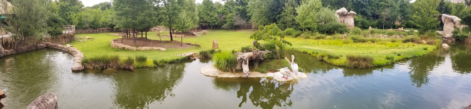 Jul. 2018 - Africa Panorama (2 Exhibits + 13 Species)