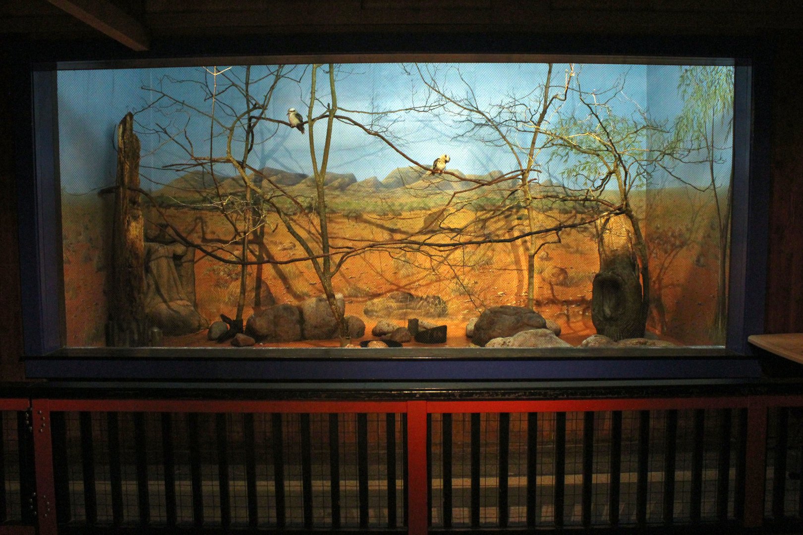 Jul. 2018 - Australia - Kookaburra Exhibit