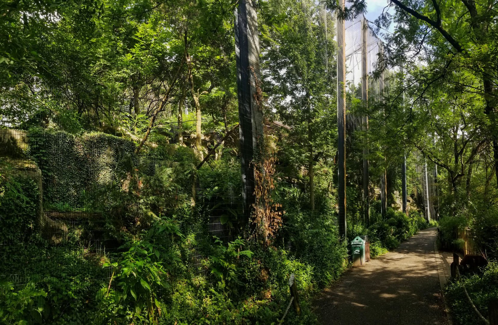 Jul. 2018 - Eagle Eyrie - Steller's Sea Eagle + Andean Condor Exhibits (Bottom View)