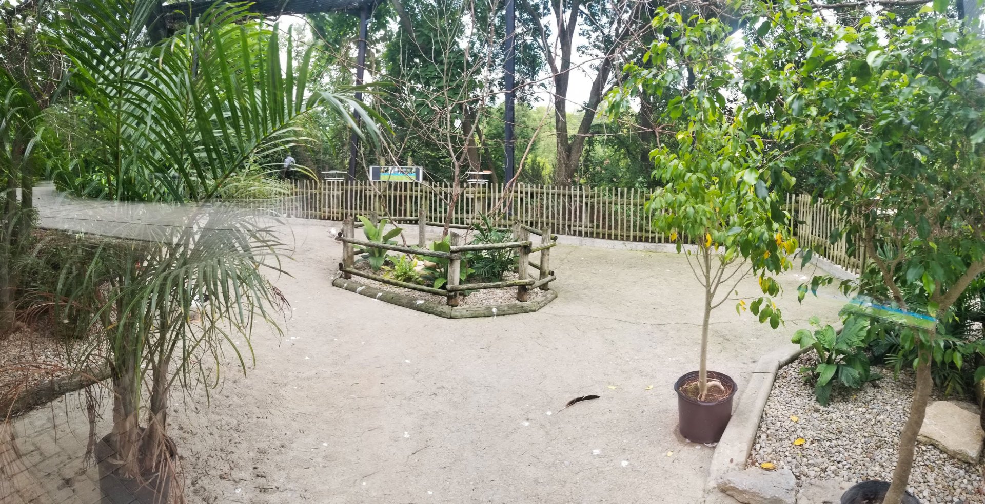 Jul. 2018 - Free Flight Aviary (Newly Re-opened) (11 Species)