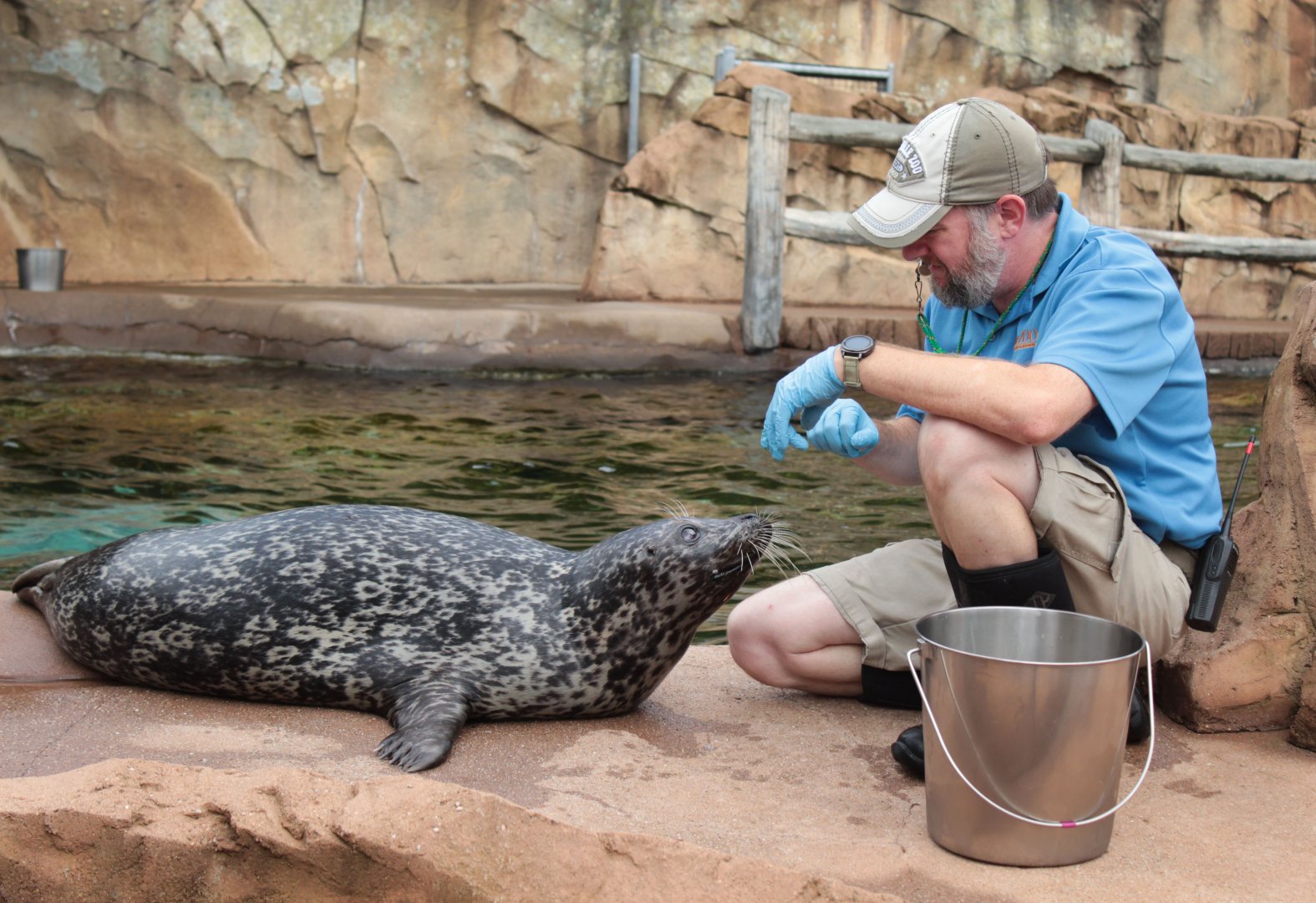 Jul. 2018 - Glacier Run - Harbor Seal Training