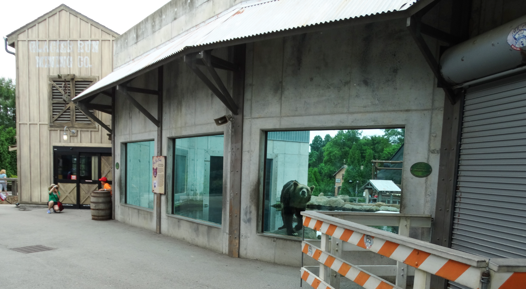 Jul. 2018 - Glacier Run - Main Bear Exhibit Viewing