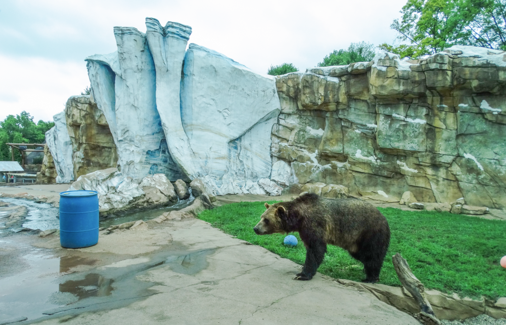 Jul. 2018 - Glacier Run - Main Bear Exhibit