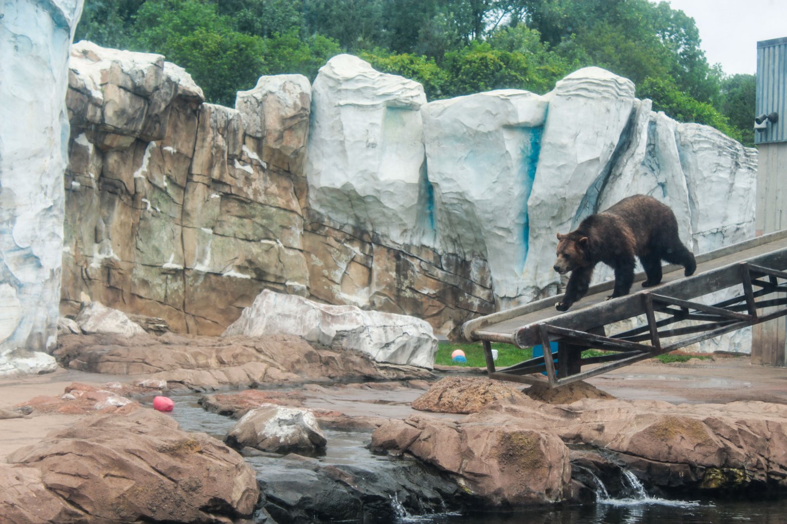 Jul. 2018 - Glacier Run - Rotational Main Bear Exhibit