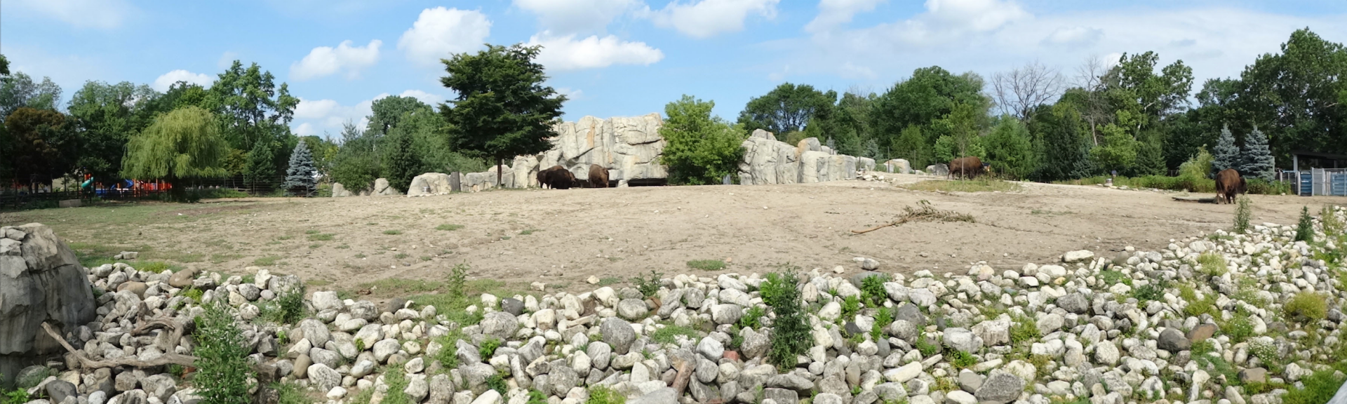 Jul. 2018 - Great Bear Wilderness - Bison Exhibit Panorama