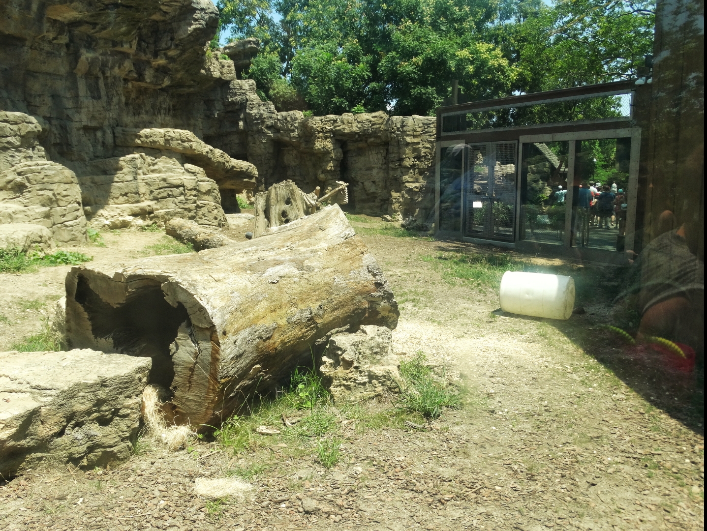 Jul. 2018 - Grizzly Ridge (Right Side)