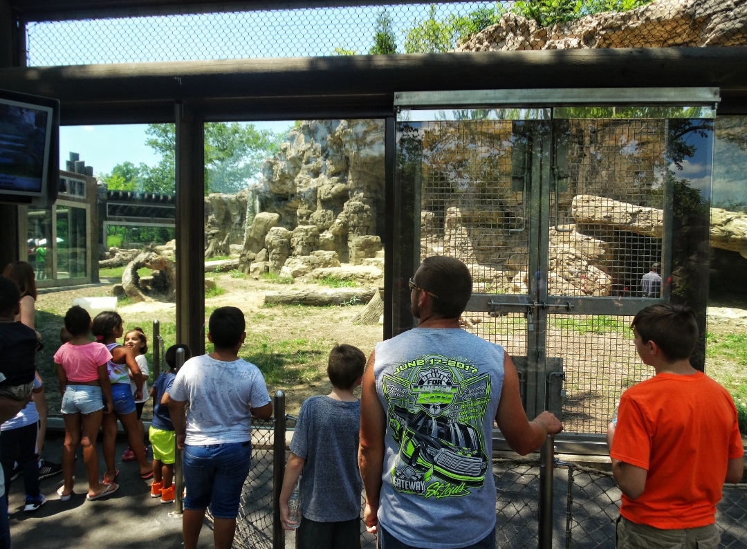 Jul. 2018 - Grizzly Ridge (Right Viewing)