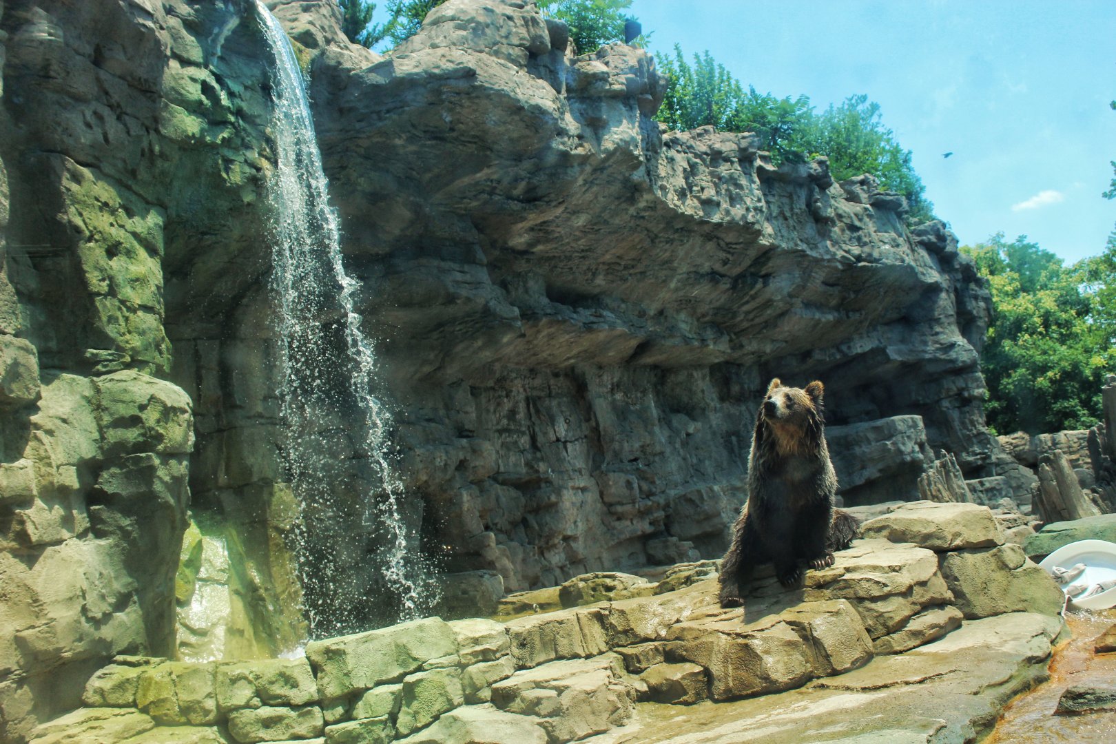 Jul. 2018 - Grizzly Ridge