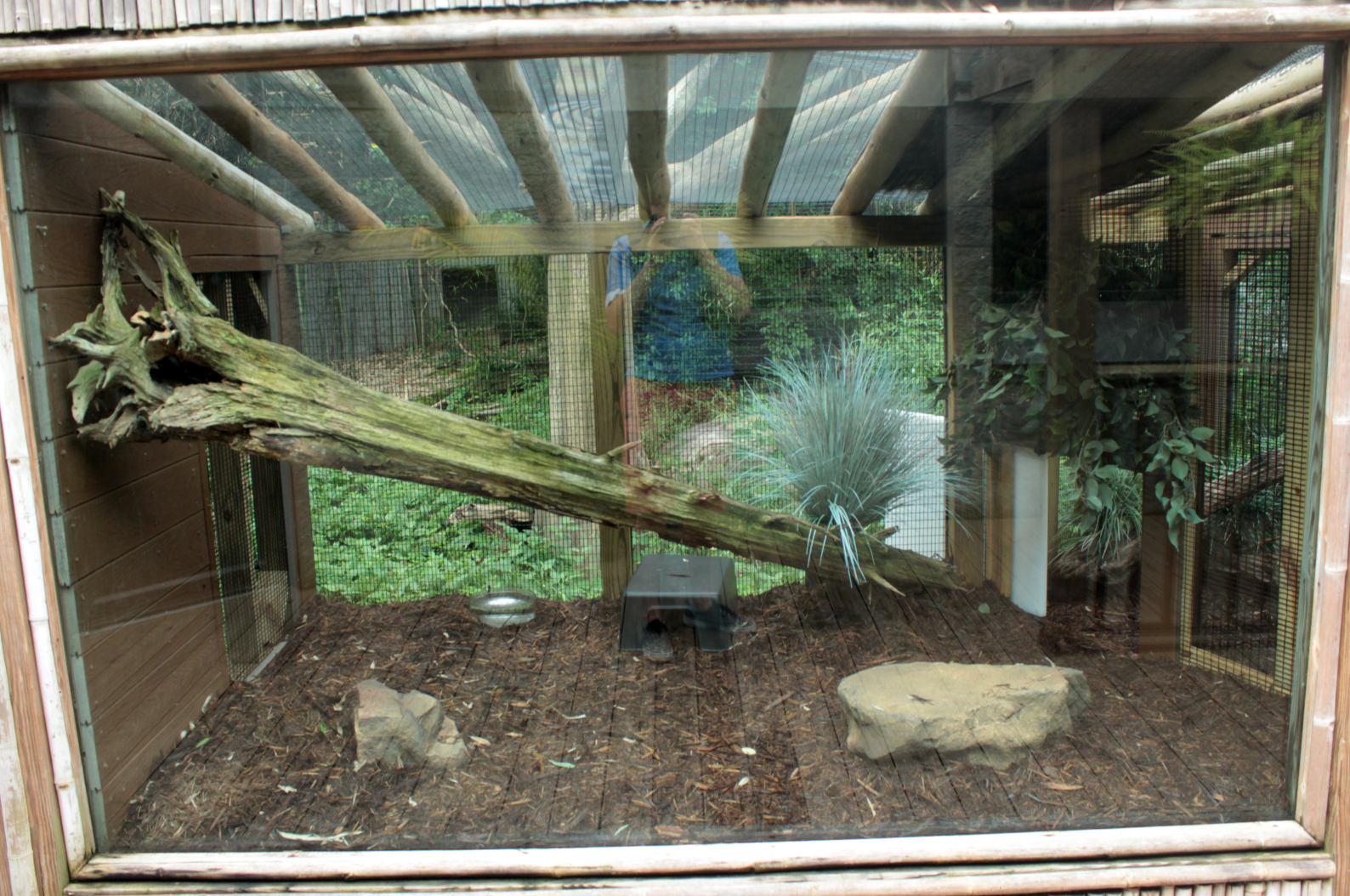 Jul. 2018 - HerpAquarium - New! Komodo Dragon Exhibit