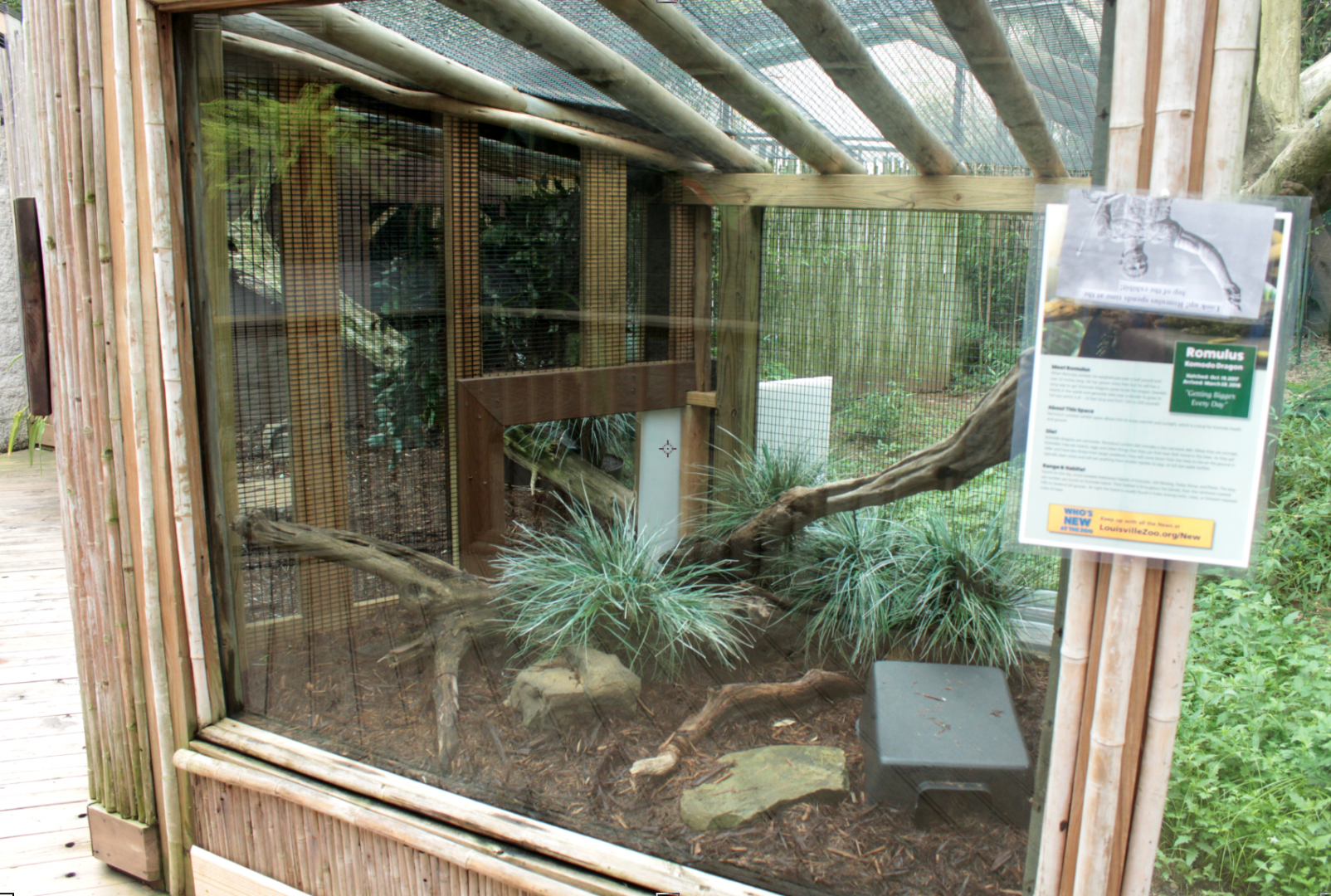 Jul. 2018 - HerpAquarium - New! Komodo Dragon Exhibit