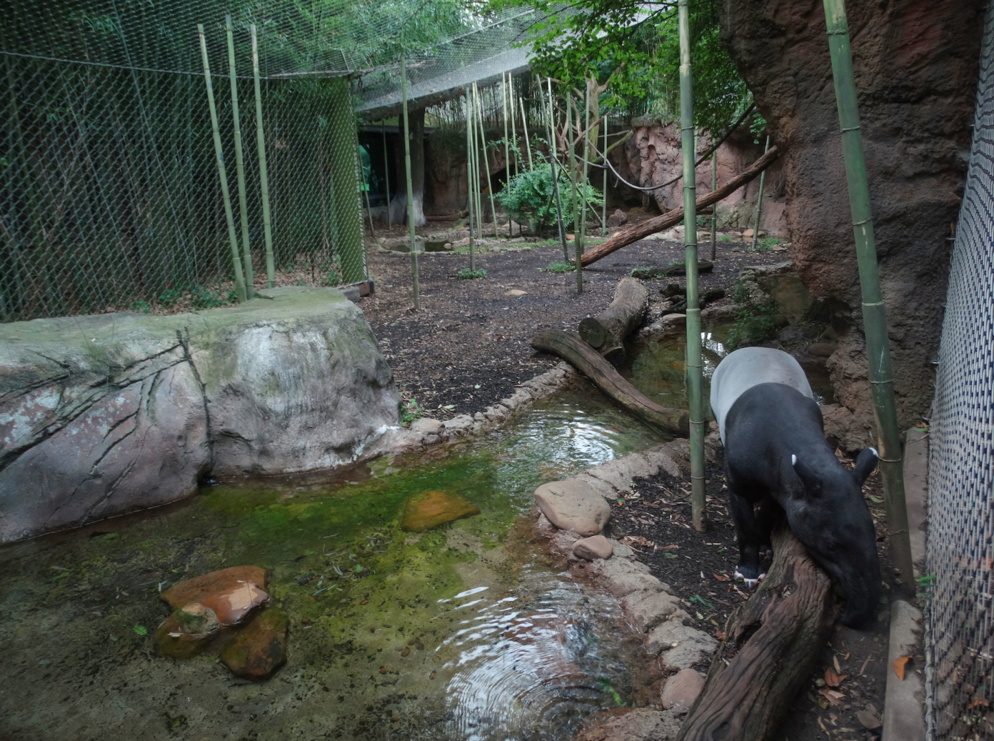 Jul. 2018 - Islands - Middle Rotational Exhibit (5 Species)