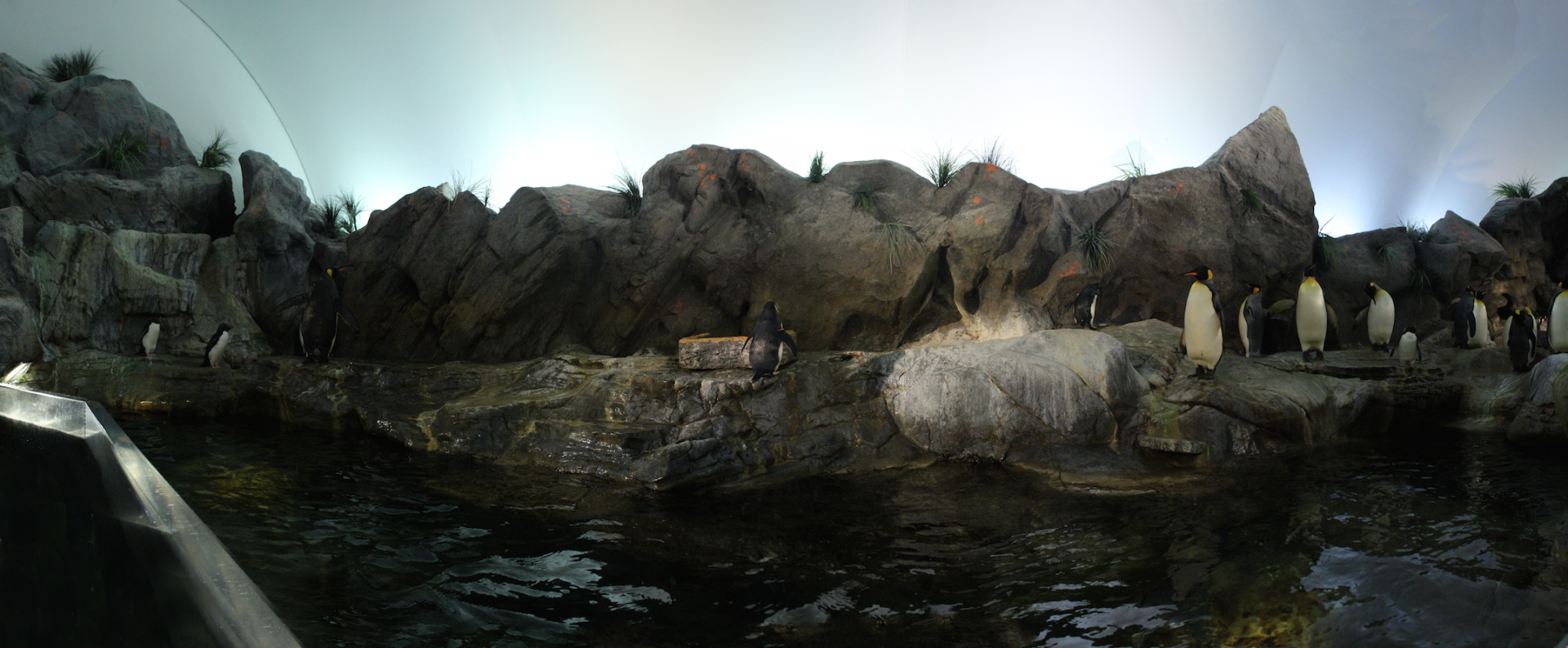 Jul. 2018 - Penguin & Puffin Coast (Left Exhibit Panorama)