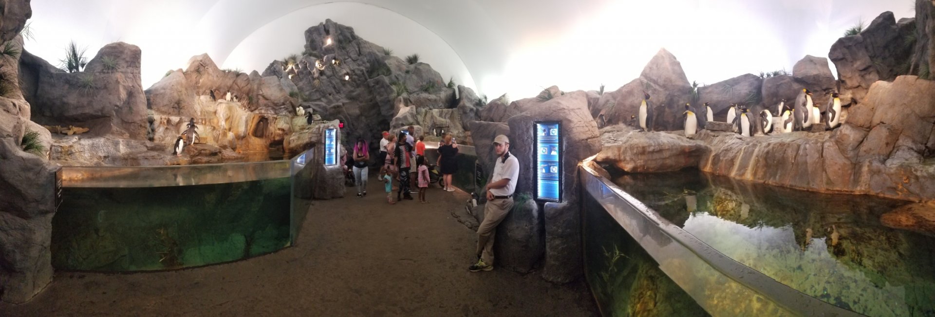 Jul. 2018 - Penguin & Puffin Coast (Penguin Cove Panorama)