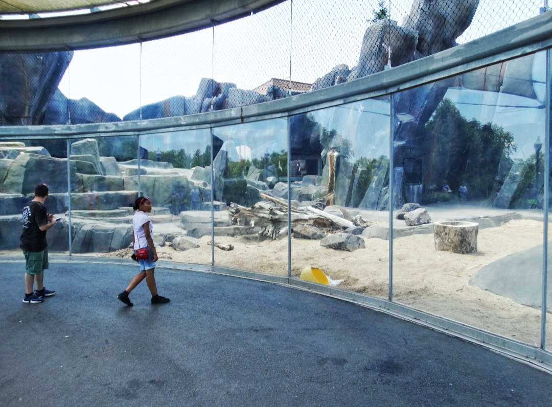 Jul. 2018 - Polar Bear Point - Middle Viewing