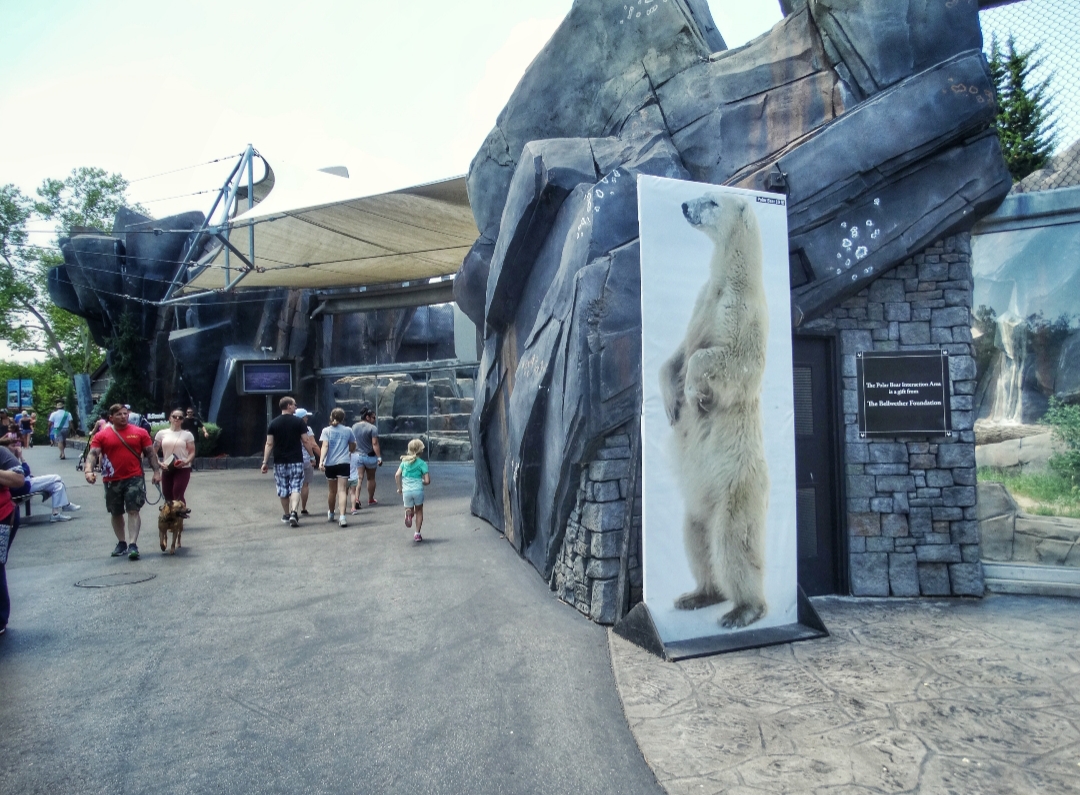 Jul. 2018 - Polar Bear Point