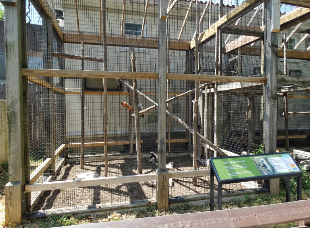 Jul. 2018 - Primate House - Outdoor Coquerel's Sifaka Exhibit (1 of 2)