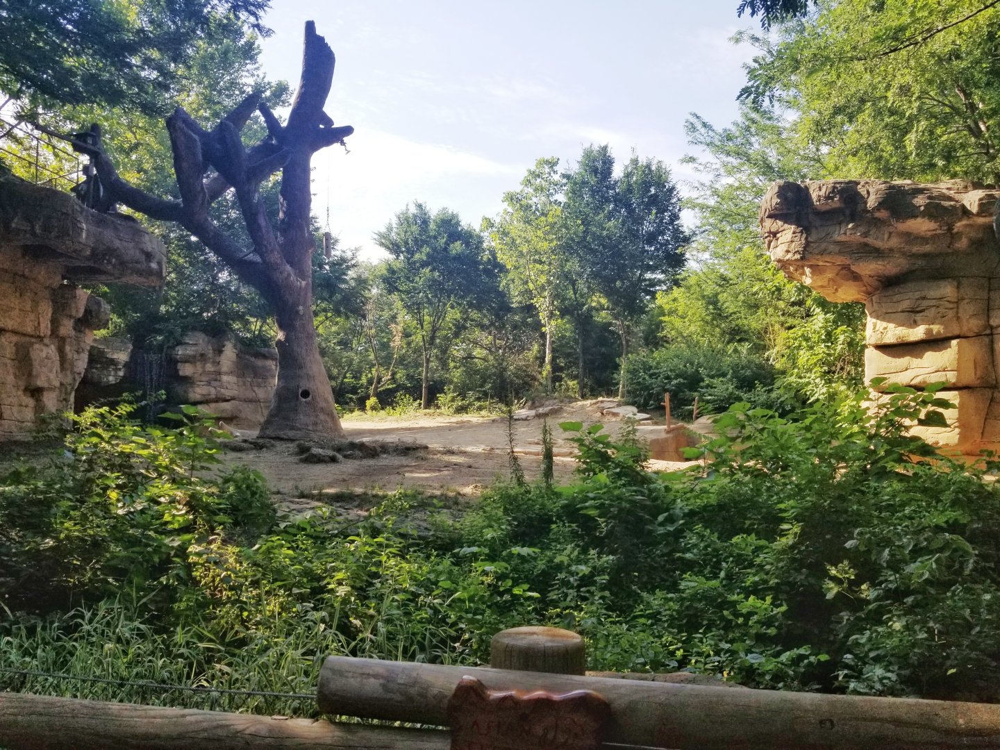 Jul. 2018 - River's Edge - Elephant Springs (Fourth Asian Elephant Exhibit)