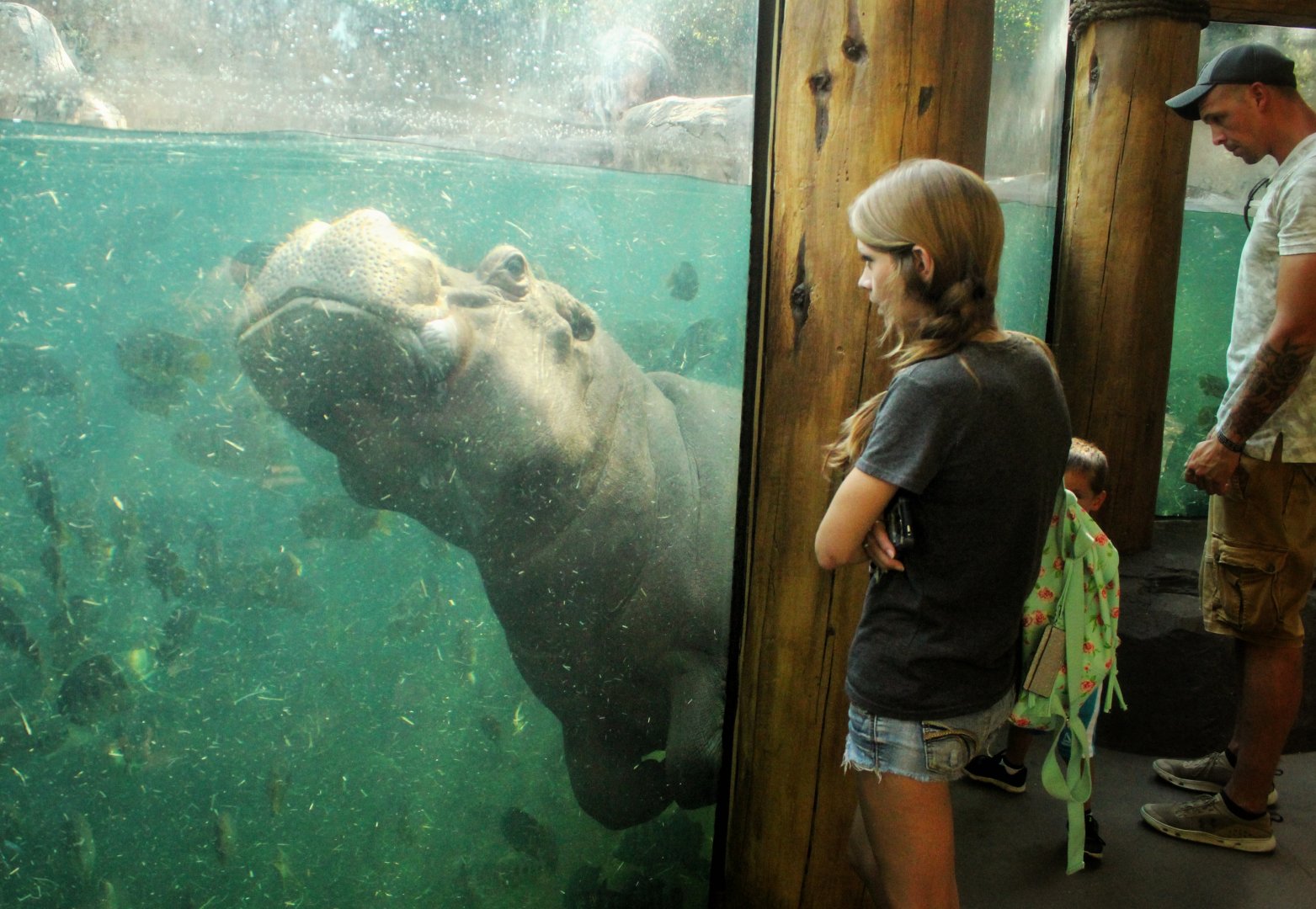 Jul. 2018 - River's Edge - Hippo Harbor