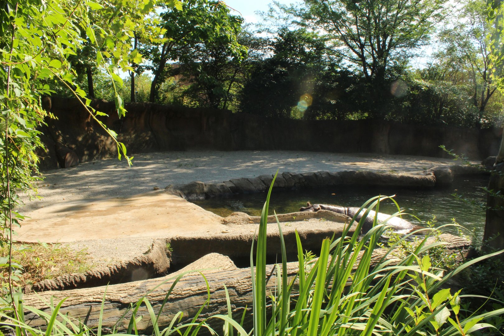 Jul. 2018 - River's Edge - Hippo Harbor