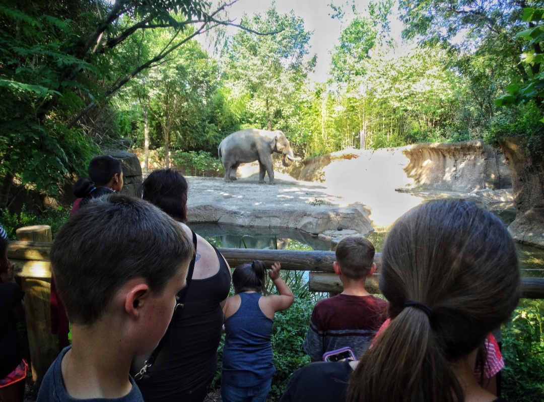 Jul. 2018 - River's Edge - Raja's Exhibit