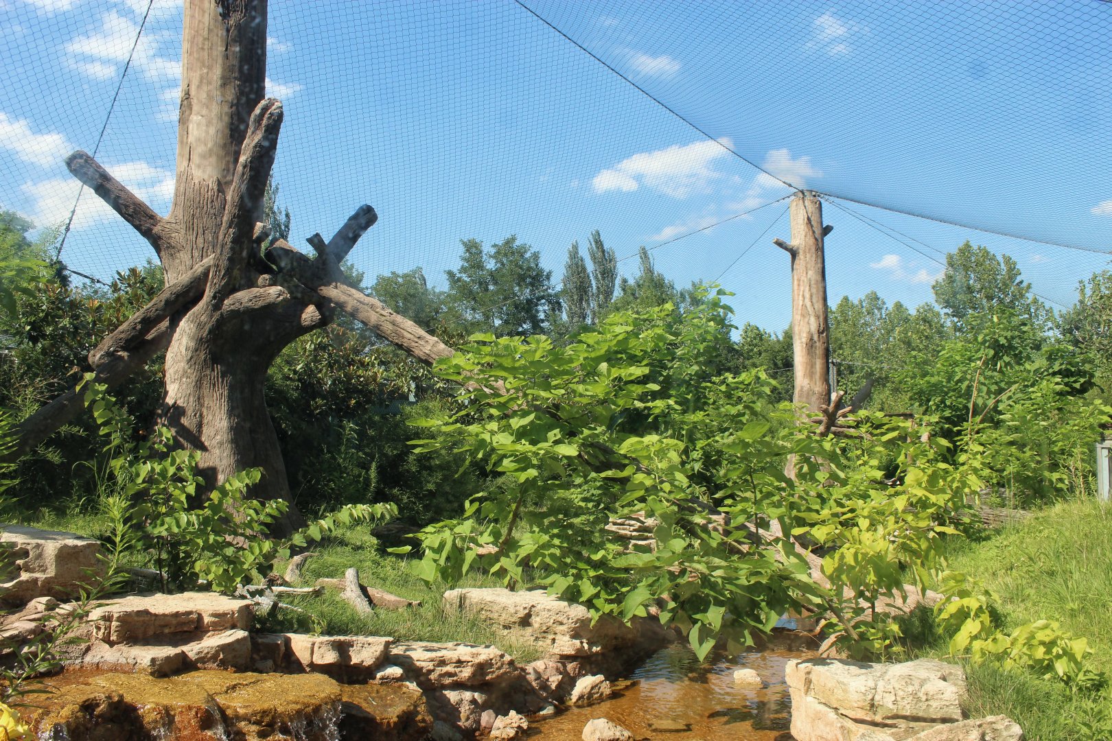 Jul. 2018 - River's Edge - Sun Bear Forest