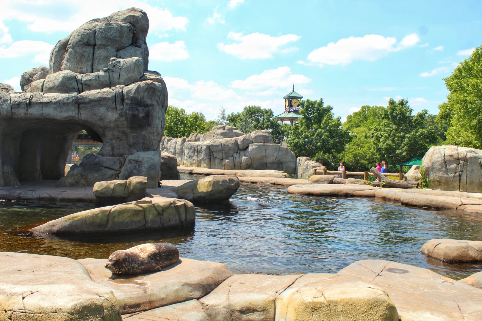 Jul. 2018 - Sea Lion Sound