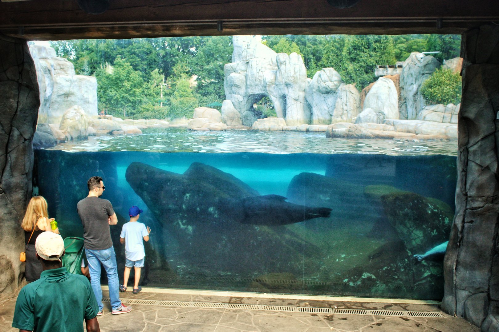 Jul. 2018 - Sea Lion Sound