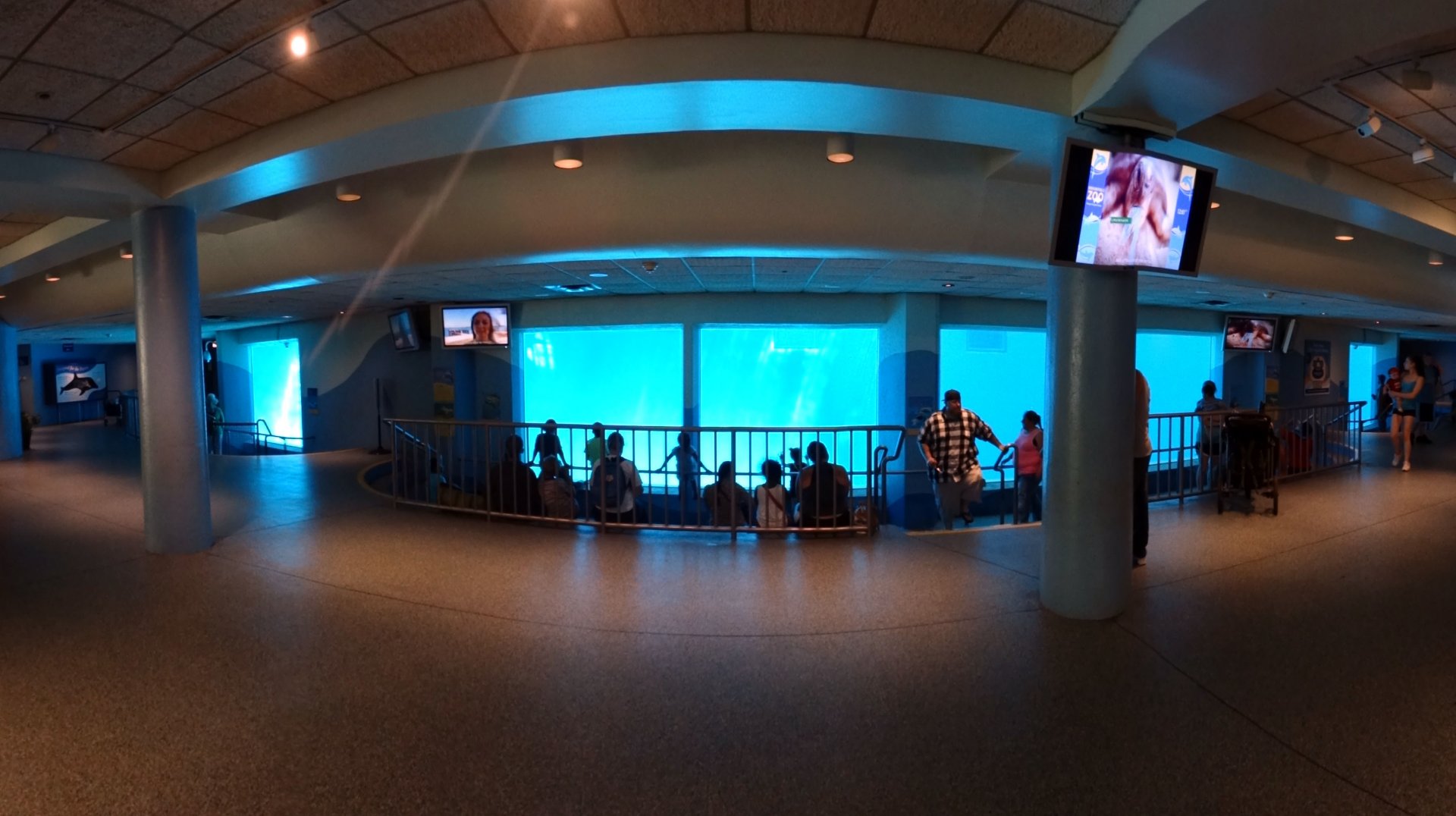 Jul. 2018 - Seven Seas - Underwater Viewing Panorama