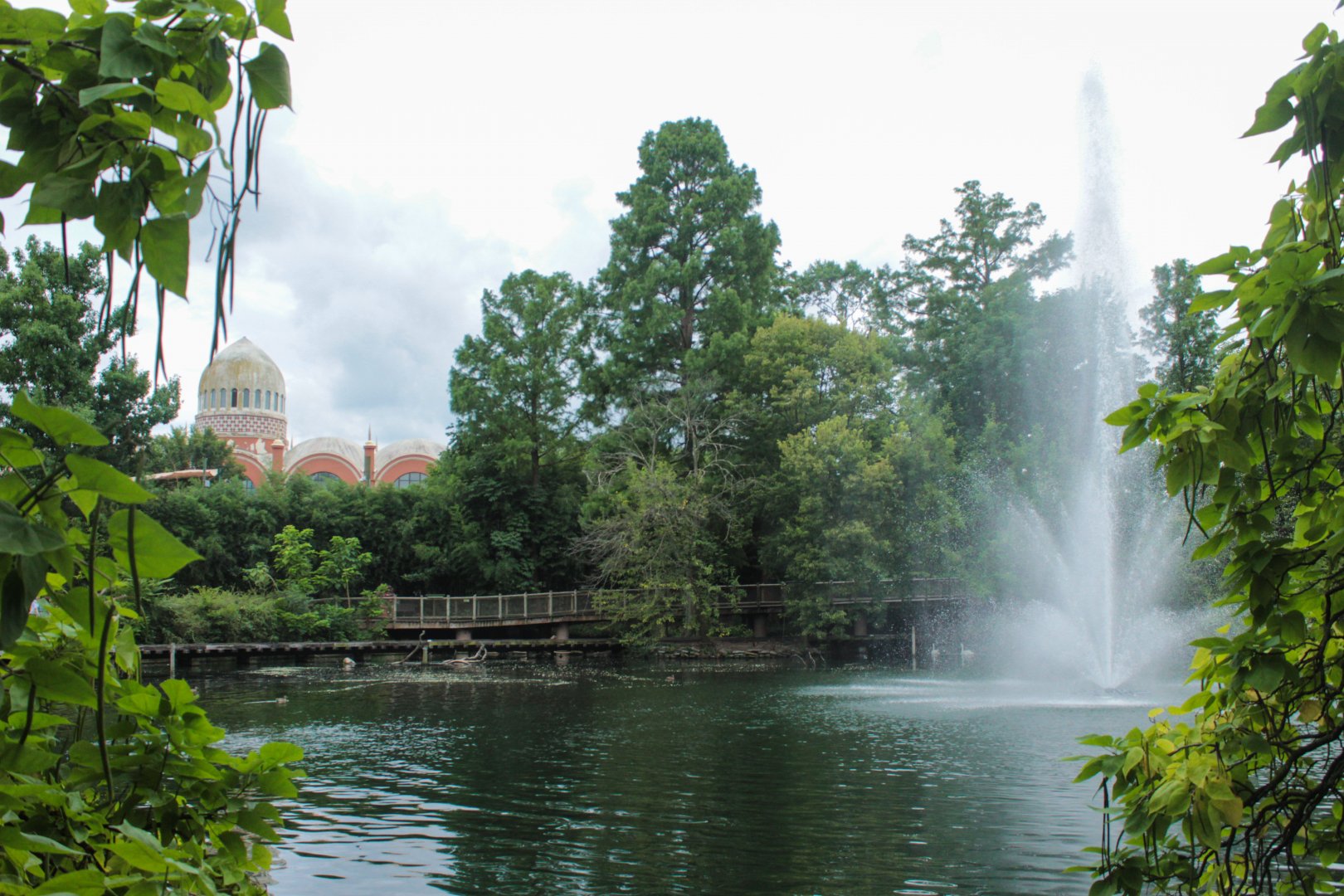 Jul. 2018 - The (Semi) Secret Spot