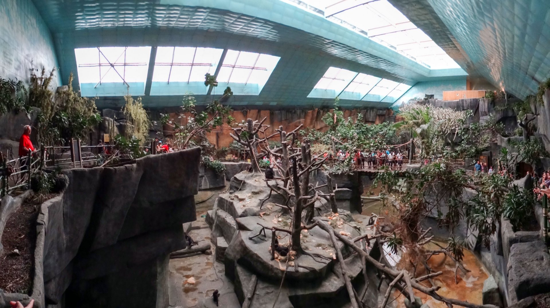 Jul. 2018 - Tropic World - Africa Panorama (9 Species)