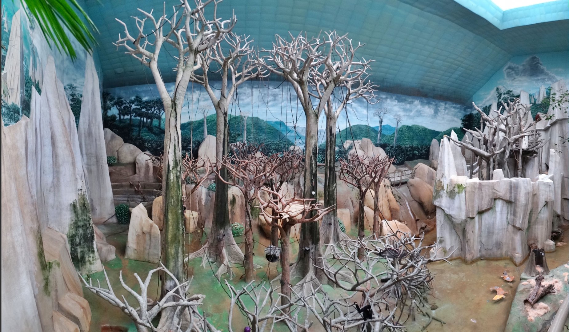 Jul. 2018 - Tropic World - Asia Panorama (6 Species)