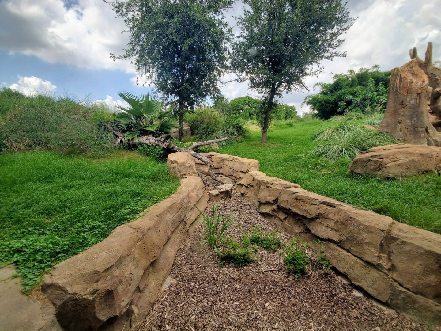 Jul. 2019 - African Forest - Gorilla Exhibit - Left Side