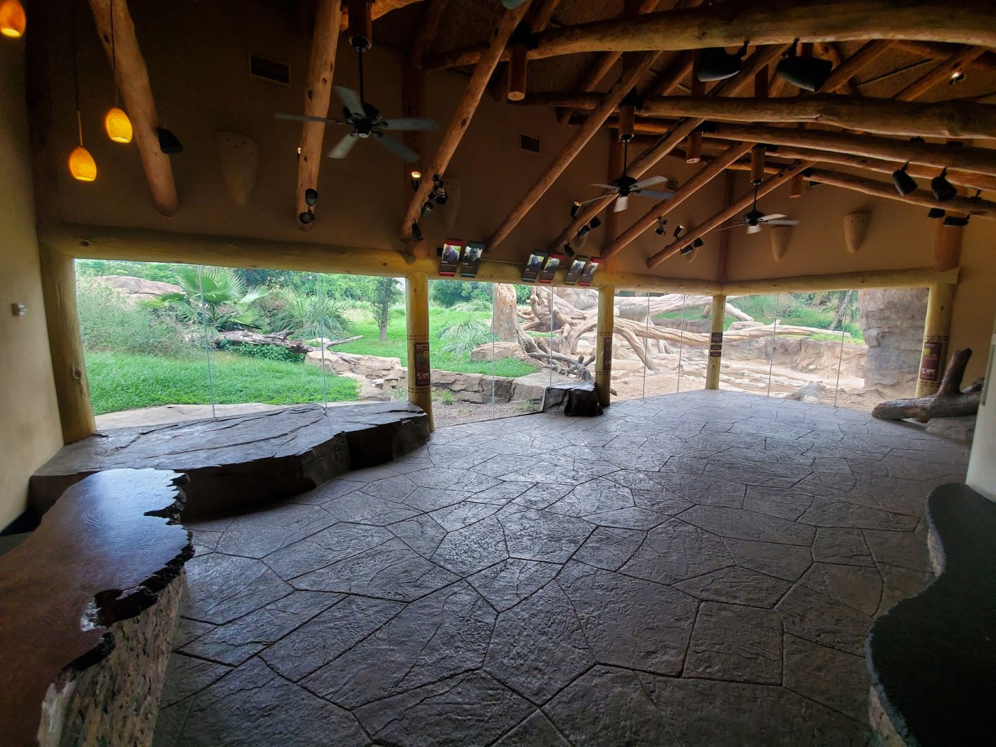 Jul. 2019 - African Forest - Gorilla/Red River Hog Exhibit - Left View