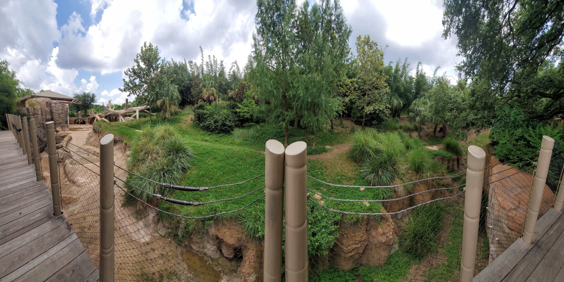 Jul. 2019 - African Forest - Gorilla/Red River Hog Exhibit Panorama
