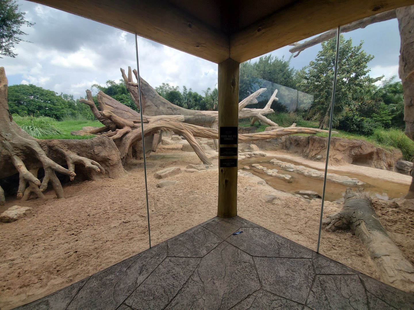 Jul. 2019 - African Forest - Gorilla/Red River Hog Exhibit