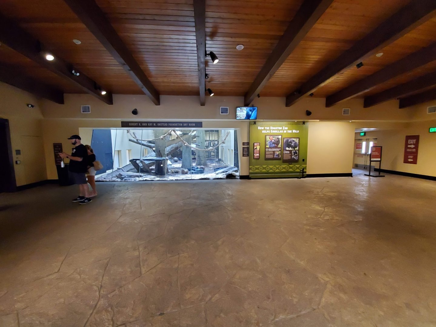 Jul. 2019 - African Forest - Great Ape Gallery - Gorilla Dayroom