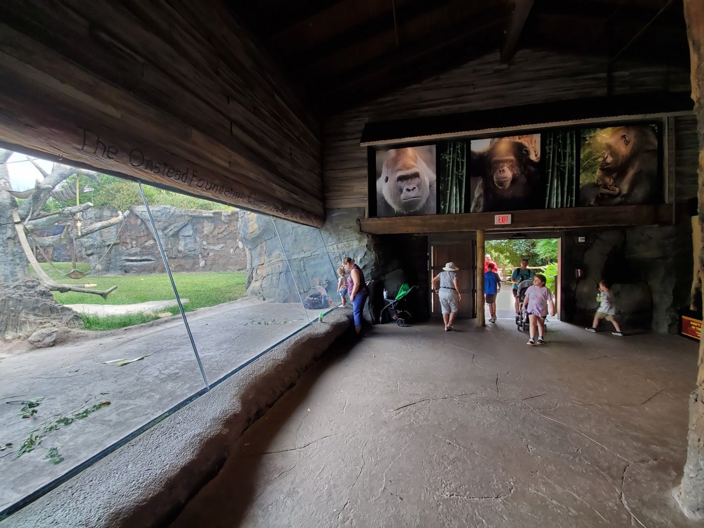 Jul. 2019 - African Forest - Great Ape Gallery