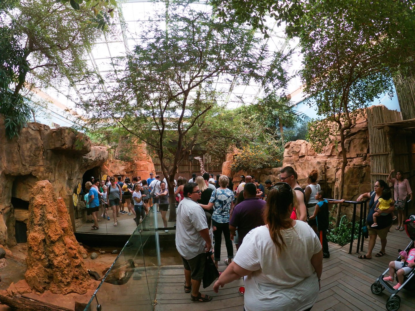 Jul. 2019 - African Journey - Dry Thorn Forest Room