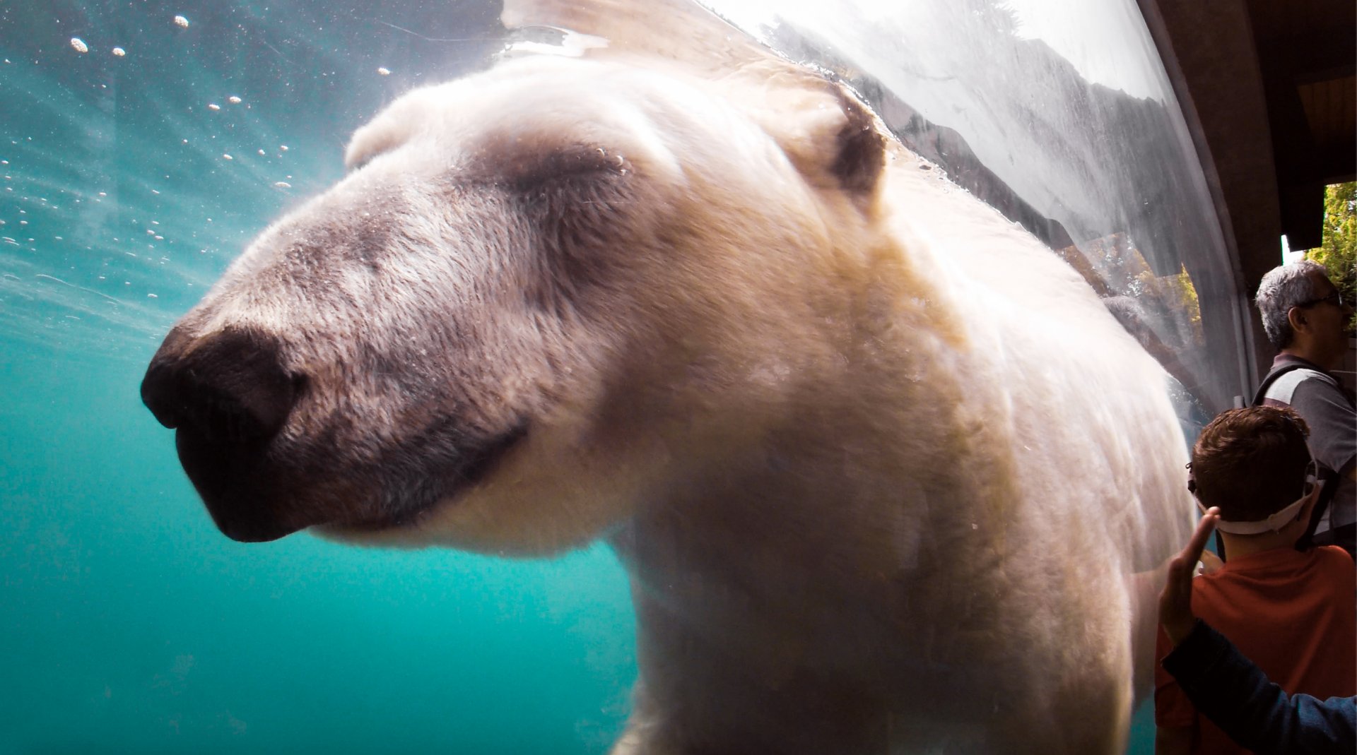 Jul. 2019 - Arctic Tundra - Talini