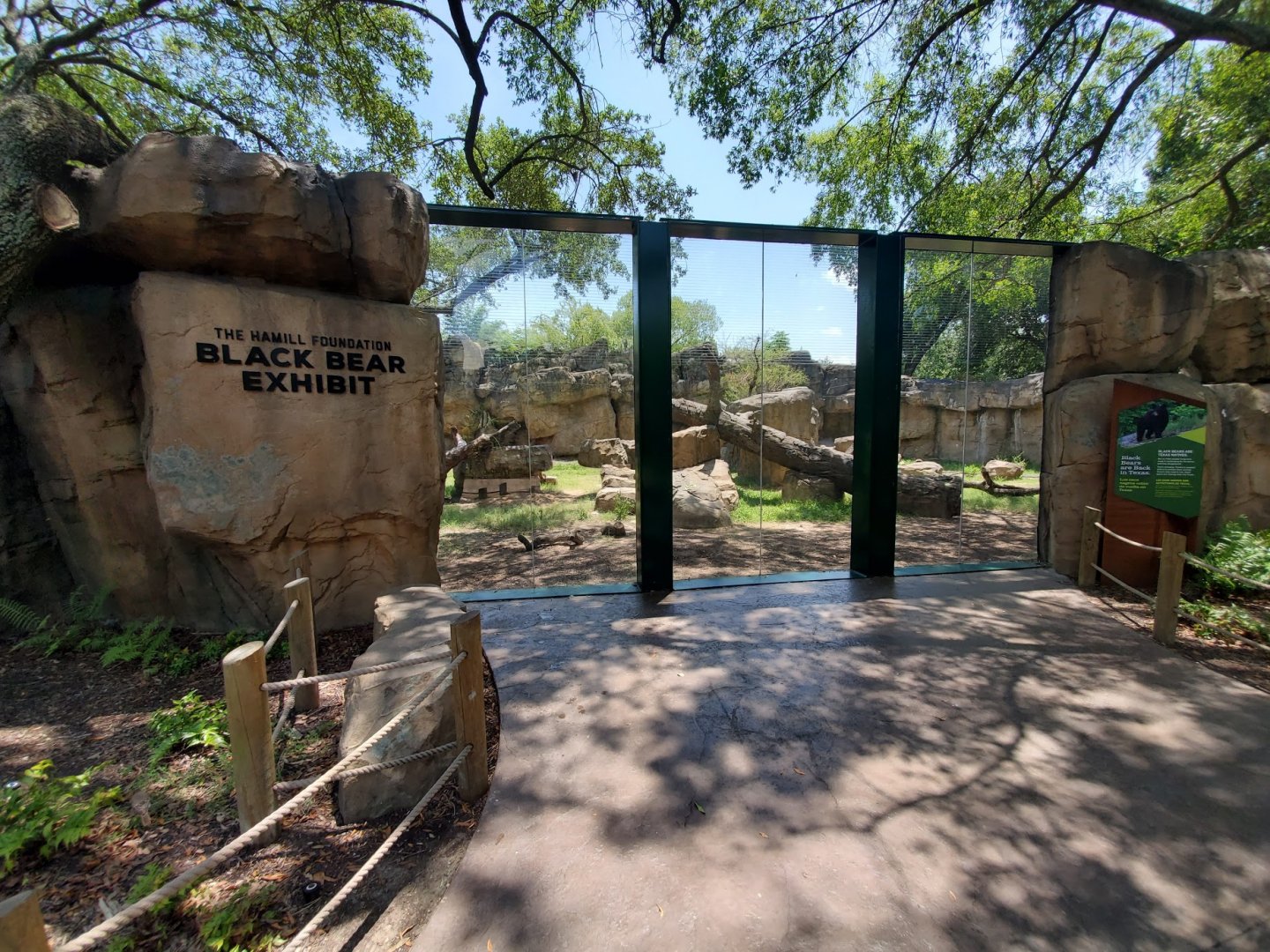 Jul. 2019 - Black Bear Exhibit - Middle Viewing