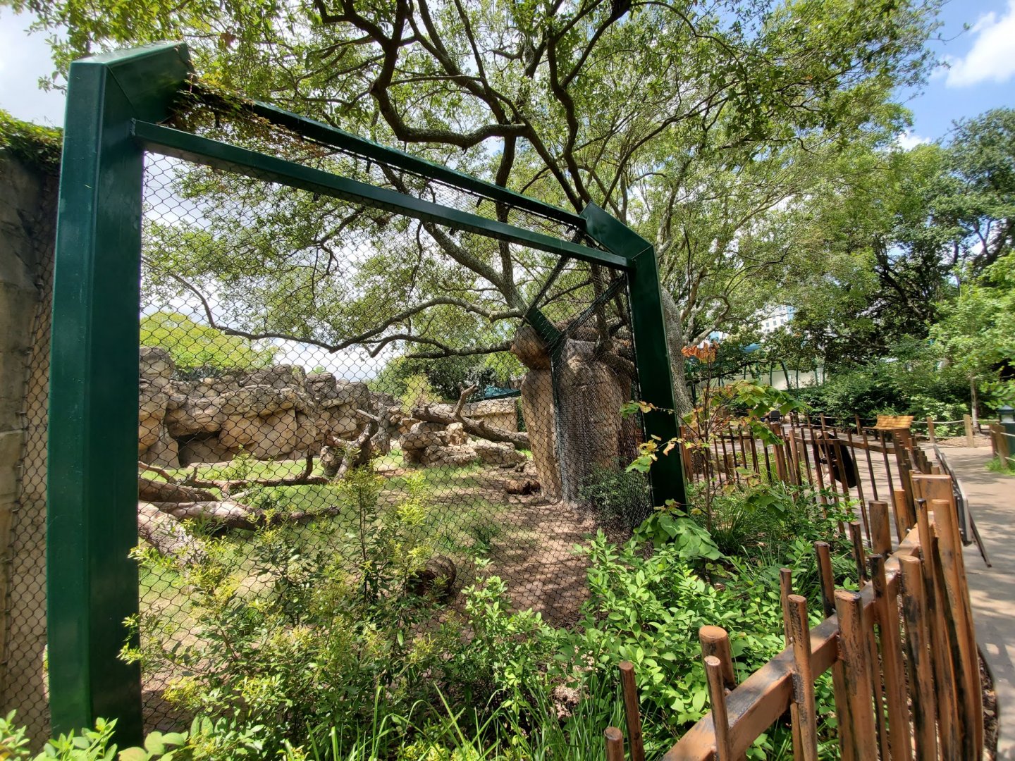 Jul. 2019 - Black Bear Habitat - Left Viewing