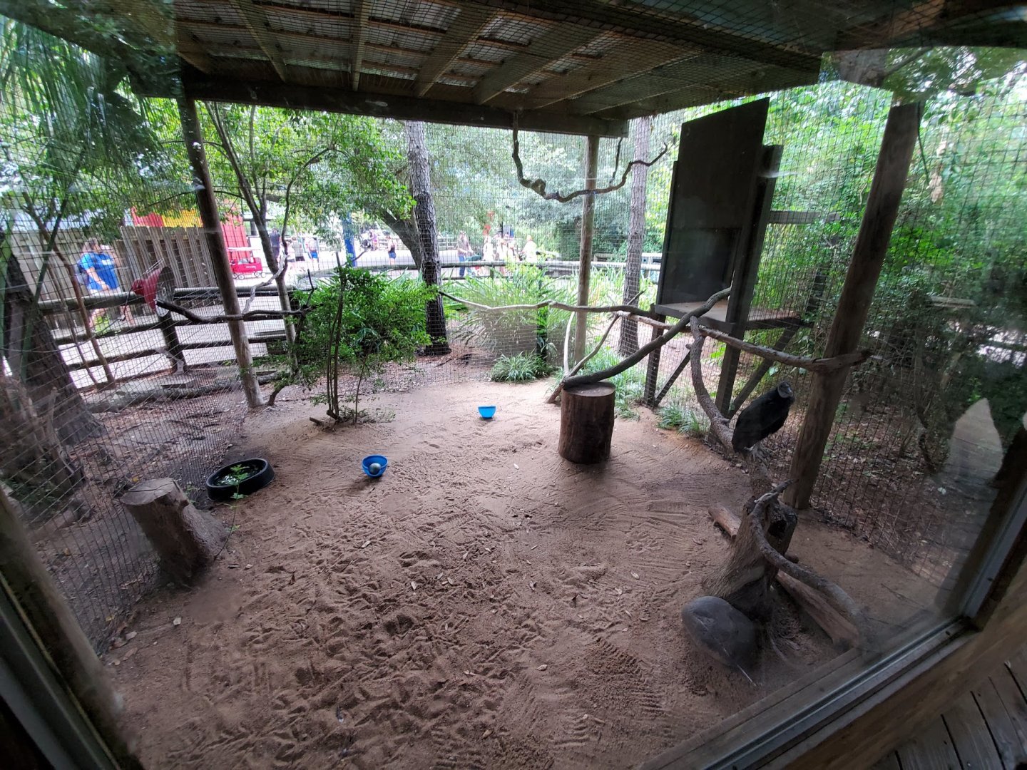 Jul. 2019 - Children's Zoo - Black Vulture Exhibit