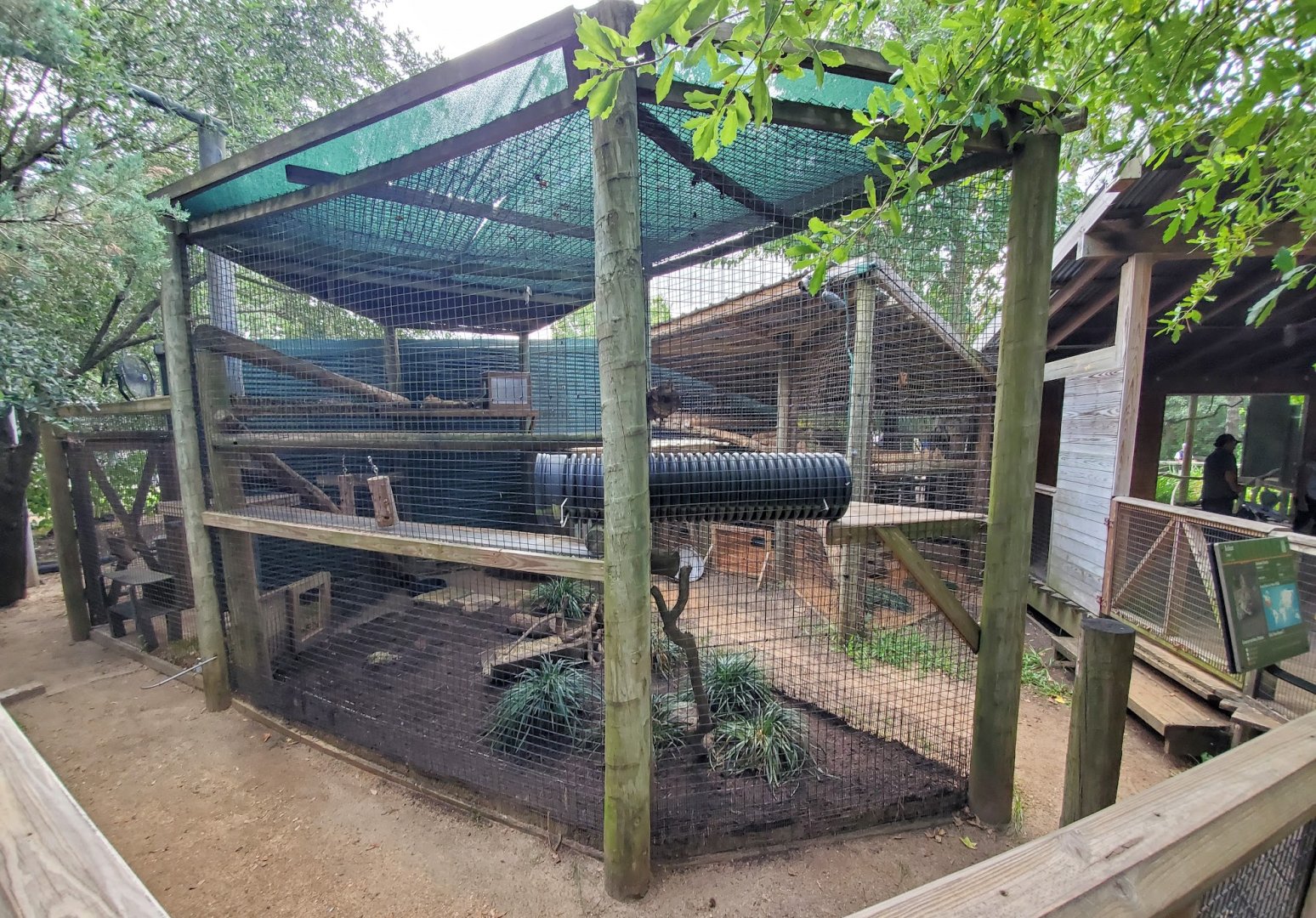 Jul. 2019 - Children's Zoo - Bobcat Exhibit