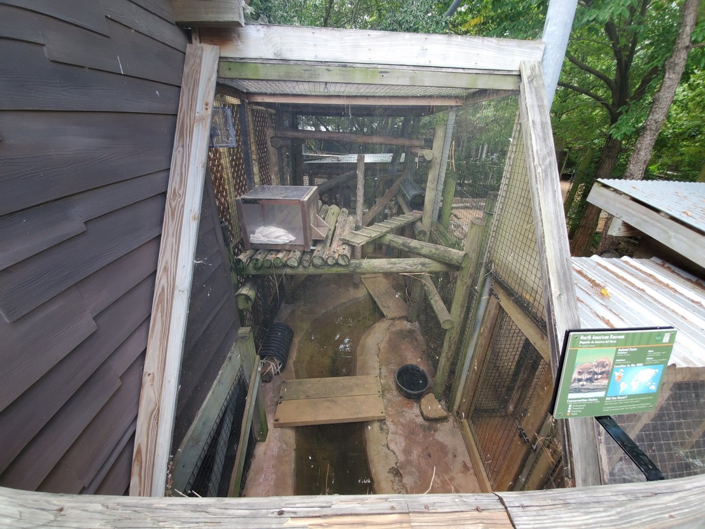 Jul. 2019 - Children's Zoo - Raccoon Exhibit