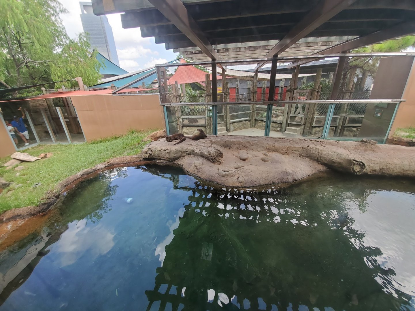 Jul. 2019 - Children's Zoo - River Otter Exhibit